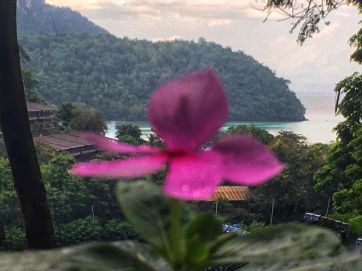 Phi Phi Sea&Hill Resort Esterno foto